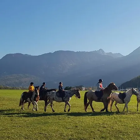 Manou Du Annecy Holiday home